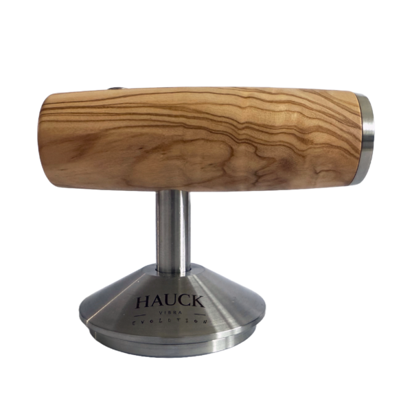 Hauck Vibra Evolution 2.0
